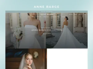 Anne Barge